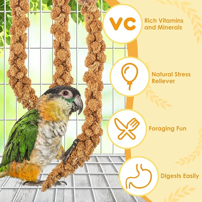 KATUMO Spray Millet for Birds, 2.0LB / 910g Natural Sun-Dried Millet Spray Bird Treats Parakeet Food for Cockatiels Conures Parrots Hamsters Finches