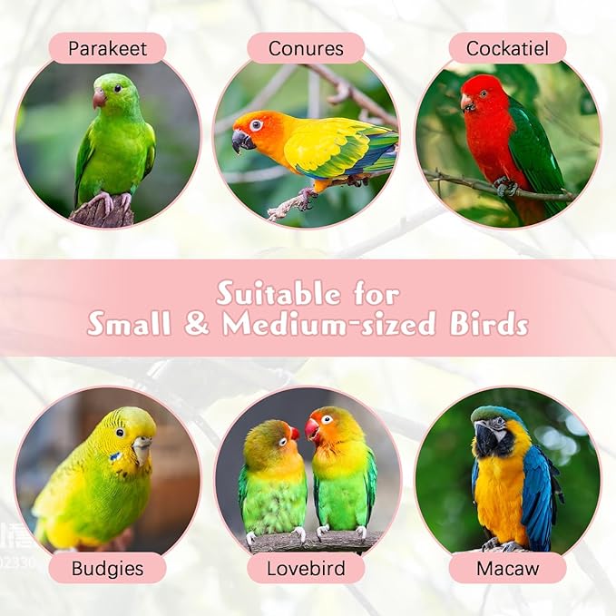 PINVNBY 2 Pack Bird Chew Toys Bird Beak Grinding Stone Lava Calcium Block with Bell Hanging Parrot Chewing Toy Cage Accessories for Parakeets Conures Cockatiels Budgies Lovebirds