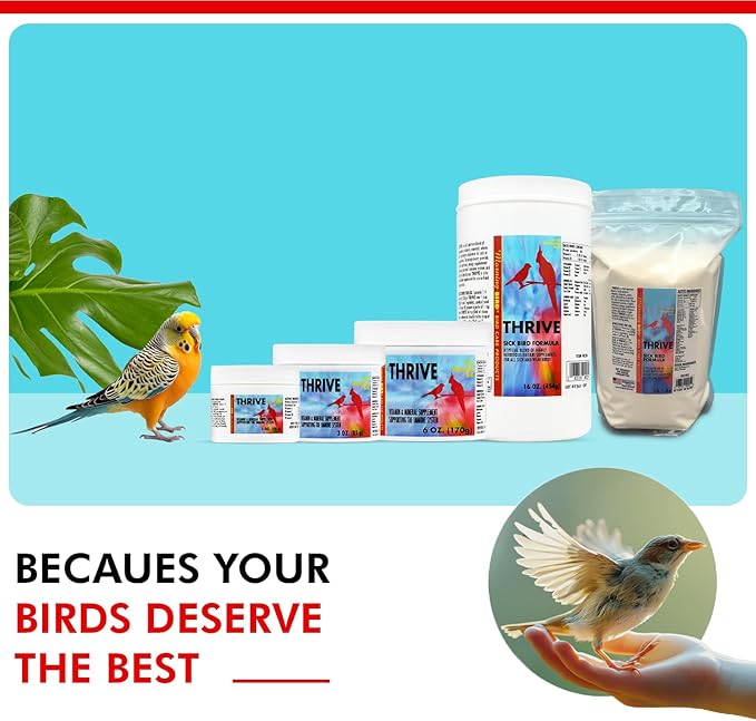 Morning Bird Thrive 6 Oz - Multi-Vitamin Bird Supplement Designed for Immune and Recovery Support - Formulated for Sick or Injured Birds - Protein Supplement and Energy Booster for All Adult Birds