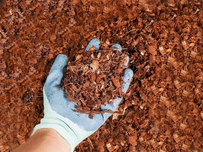 Coco Coir Husk Chips 1-Pack – 2.4 Cu. Ft. Compressed Coconut Coir Bricks, 10 lb. Natural Substrate for Indoor & Outdoor Use, Orchid Bark Alternative, Orchid Potting Mix, Indoor Plant Soil