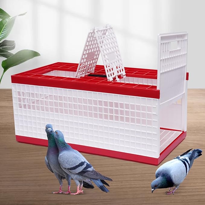 Pigeon Carrier Cage, 23.6"X12.2"X10.2" Plastic Training Basket with 4 Doors (2 Side + 2 Top), Red Foldable Pigeon Cage with Handle,Portable Bird Transport Box for Racing & Release