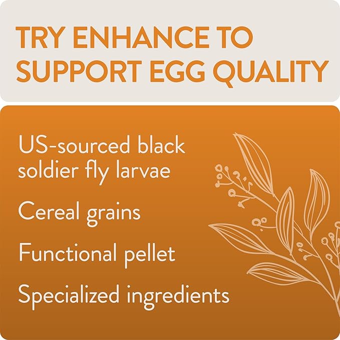 Enhance, Functional Poultry Treats for Egg Production & Quality, 1.5 lb (Pack of 2)