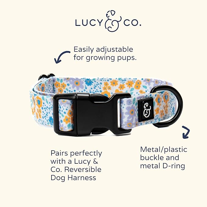 Lucy & Co. Among The Wildflowers Dog Collar - Durable Lightweight Designer Collar for Pets - Adjustable Metal Safety Buckle - Purple Floral - Small