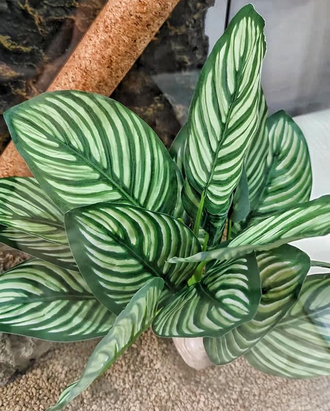 Reptile Terrarium Decor,Amphibian Habitat Decor,Artificial Plants for Crested Gecko Tank Accessories Suitable for Leopard Gecko Bearded Dragon Lizard Chameleon Snake Tortoise (Calathea makoyana-D)