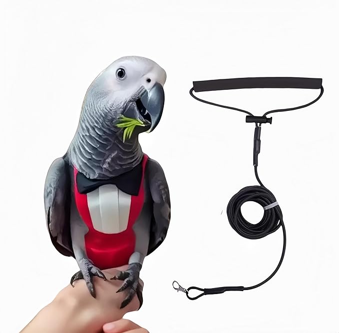 Bird Diapers with Bow Bird Harness Tuxedo Flight Suits with 80in Flying Leash Parrot Nappy with Waterproof Inner Layer Urine Wet Suite for Cockatiel Conure Parakeet Macaw Budgie-Red,XL