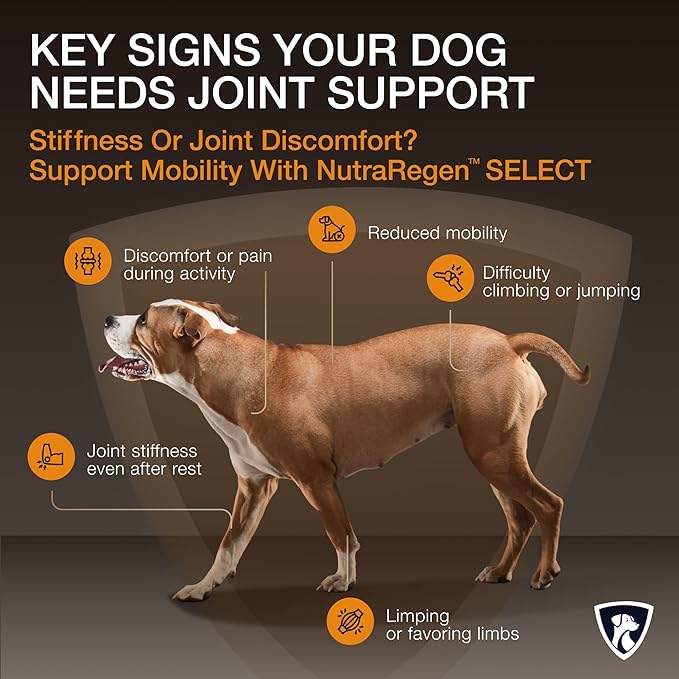 Select Senior Dog Joint Supplement 45 Servings | Natural Glucosamine Chondroitin for Dogs with Collagen | Hip and Joint Powder | 7.7 Oz