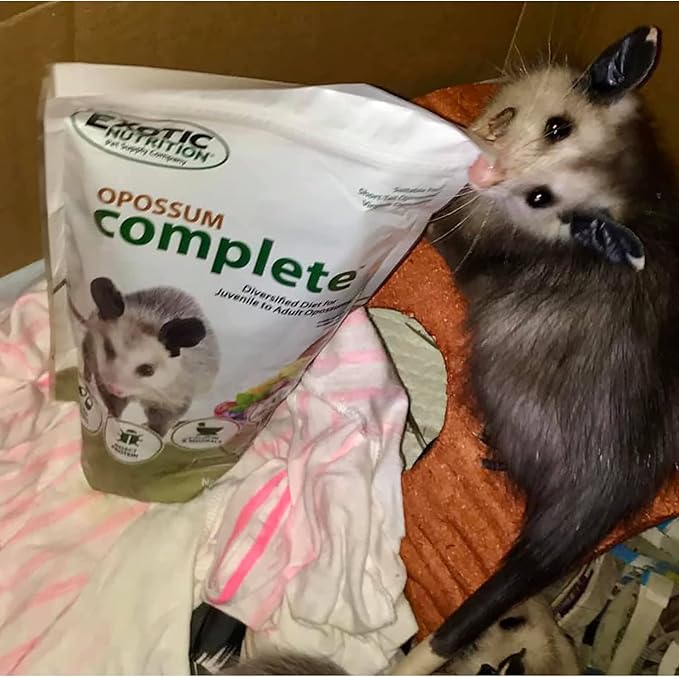 Exotic Nutrition Opossum Complete - Nutritionally Complete Healthy Pellet Diet - Food for Short-Tailed & Virginia Opossums (1 lb.) (Pack of 2)