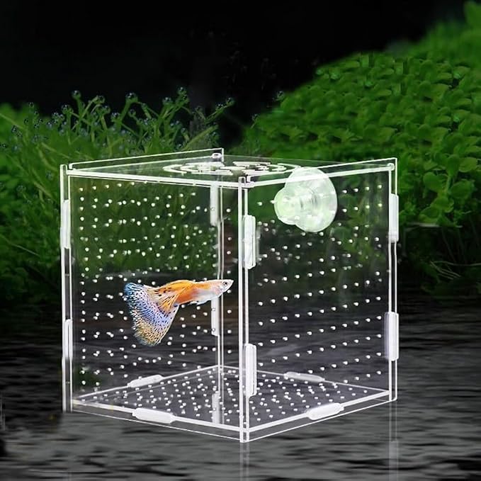 PINVNBY Acrylic Fish Breeding Box，Guppy breeding Box Acrylic Fish Isolation Box Aquarium Incubator with Suction Cups for Guppy Shrimp Small Baby Fishes（3.9 x 3.9 x 3.9 inches）