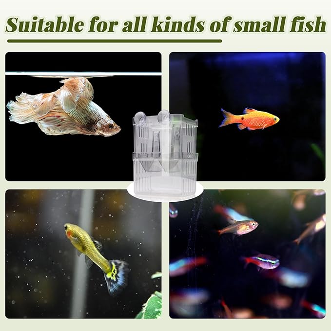 2 Pieces Floating Fish Breeder Box for Aquarium Divider, Transparent Fish Isolation Breeding Box with Suction Cups, Shrimp Tank Hatchery Fry Incubator for Clownfish Betta Guppy Acclimation
