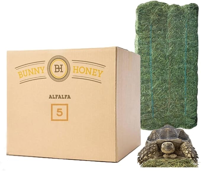 Bunny Honey Organic Alfalfa Hay for Tortoise 12 lb Dim wt/5 lb High-Protein & Calcium, Supports Growth & Dental Health, Fresh & Nutritious