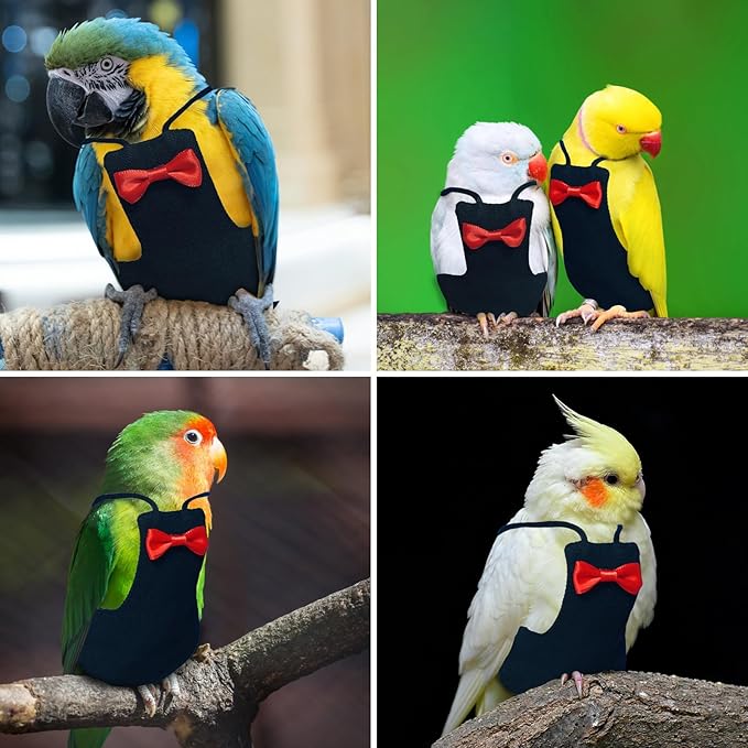 Bird Diaper Washable Reusable Parrot Flight Suit Nappies Protective Breathable Parrot Nappy Clothes for Parakeet, Macaw, Budgie, Canary, Cockatiel (Black, Large)