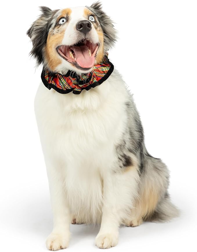 Huxley & Kent Ruff Pet Scrunchy | Shiny Christmas Plaid (Small) | Festive Christmas/Holiday Neckwear for Dogs/Cats | Fun Stretchable Costume Accessory | Soft Collar with Bells