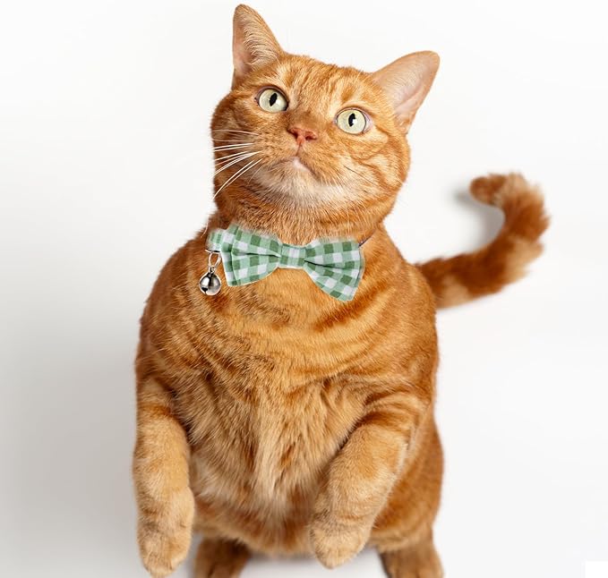 2 Pcs Bowtie Cat Collar with Bell Breakaway Cat Collars Cute Boy Kitten Collar Adjustable Small Puppy Safety Collar Solid Color Plaid Pet Collar (Green)