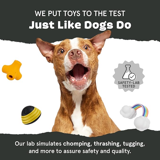 Barkbox Grateful Ted Dog Toy for Medium Dogs – Strawberry-Scented Rip & Reveal Toy for Determined Chewers and Interactive Playtime