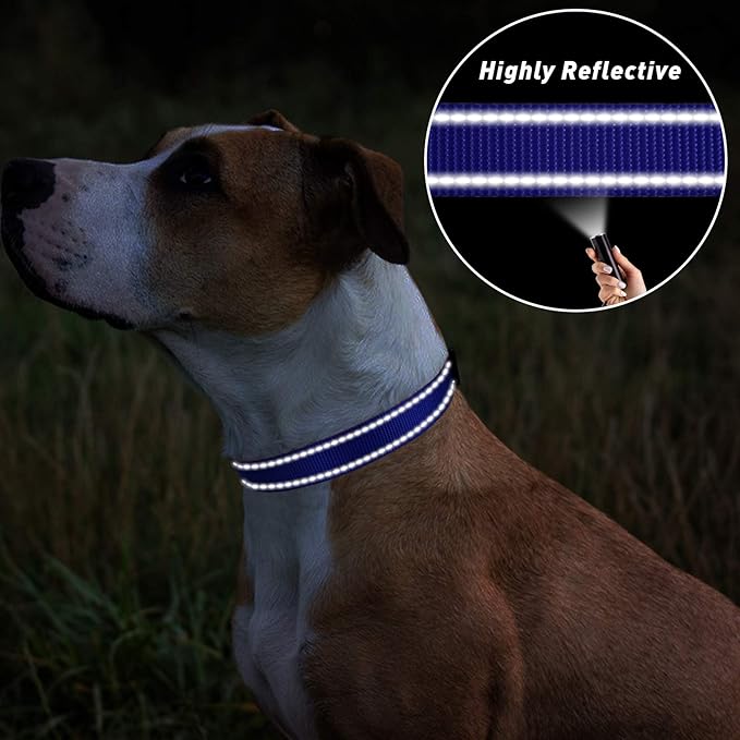 TagME Reflective Nylon Dog Collars, Adjustable Classic Pet Collar with Quick Release Buckle for Extra Large Dogs, Royal Blue, 1¼" Width