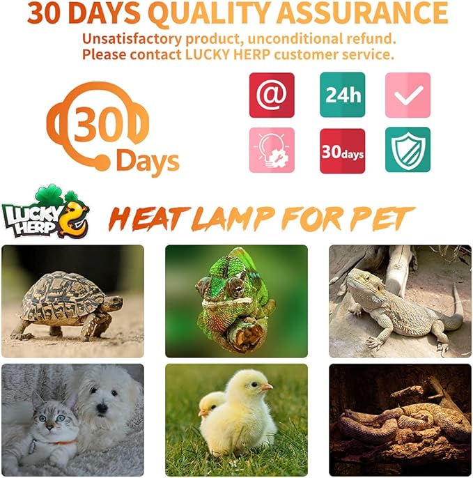 LUCKY HERP 100W Ceramic Heat Emitter, Reptile Heat Bulbs, Ceramic Heat Lamp for Reptiles, Amphibian, Chicken, Dog, Cat (2-Pack)