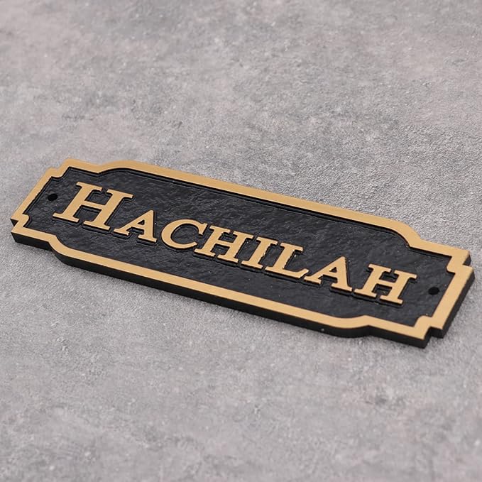 Acrylic Horse Stall Name Plate, 2.4" x 8" Personalized Stall Signs, UV Protected, Custom Pet Name Sign, All Weather Adhesive, Mounting (Rose Gold, Style 2)