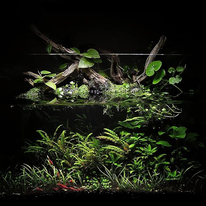 Ultum Nature Systems Controsoil - Freshwater Aqua Soil Substrate for Fish, Shrimp, Live Plant Propagation and Aquascaping - 6.8pH Low Ammonia, Volcanic Ash - Black, Normal (10 Liter | 20LB)