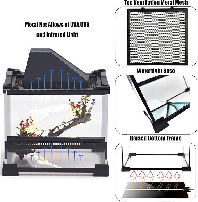 Woyrise Reptile Glass Terrarium Tank 8"x8"x5.7", Front & Top Opening Door Full View Visually Appealing Mini Reptiles or Amphibians Habitat, Stackable Enclousure for Small Reptiles