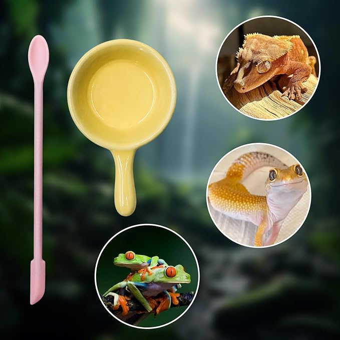 Gecko Accessories, Ceramic Food Bowl with Silicone Spoon for Puree, Reptile Food Dish for Crested, Leopard