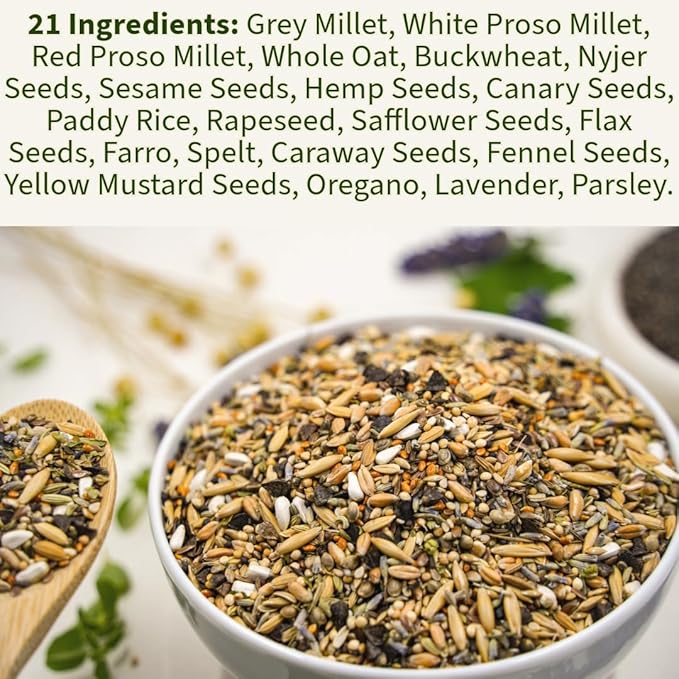 Premium Parrot Food| Protein-Rich Low-Fat Formula | Cockatiel, Conure, Lovebird, Quaker, Parrotlet | No Corn, Soy, Peanuts | Gourmet Whole Grains & Seeds | Daily Maintenance Blend (1 lb)