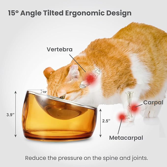Felli Pet Oblik Anti Whisker Fatigue & Regurgitation Raised Cat Food Water Bowl, Tilted Stainless Steel Shallow Dish Dishwasher Easy Clean, Elevated Dry Wet Metal Feeder Slanted Plate (0.5Cups, Gold)