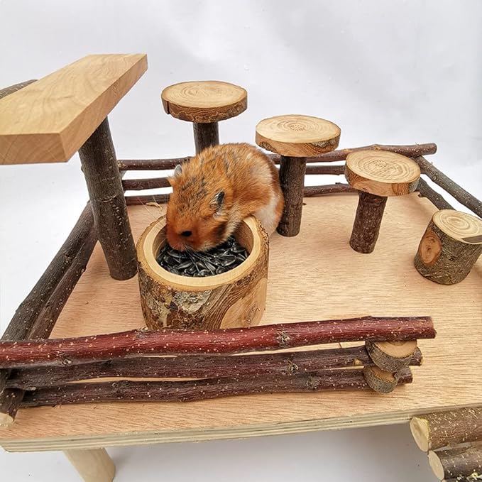 Apple Wood Feeding Bowl for Small Animals, Food Dish for Guinea Pig, Chinchilla, Parrots