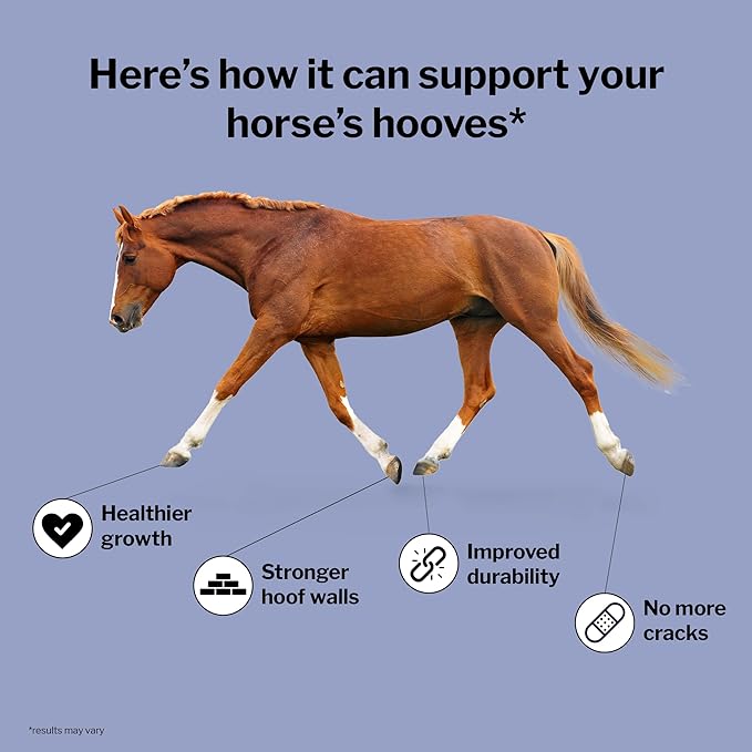 Formula 707 Hoof Health Equine Supplement, 10 lb Bag - 160 Servings – Biotin, Amino Acids, and Minerals to Improve and Support Healthy Horse Hooves