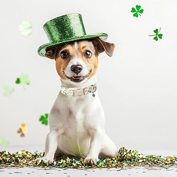 St. Patrick's Day Dog Collar for Large Dogs - Cute Shamrock & Rainbow Print Dog Collars, Irish Green Party Puppy Collar, Lightweight Adjustable St. Patricks Day Pet Collars L