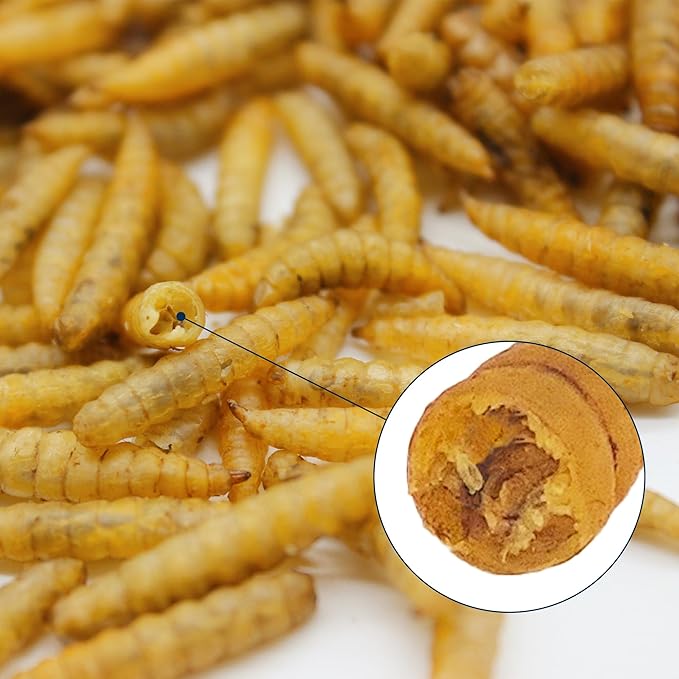 Nutrient-Rich Chicken Feed - 10LB Dried Black Soldier Fly Larvae, 100% Natural, 85X More Calcium Than Mealworms, Ideal for Molting & Laying Hens, Ducks, and Wild Birds, Reptiles and Hedgehog