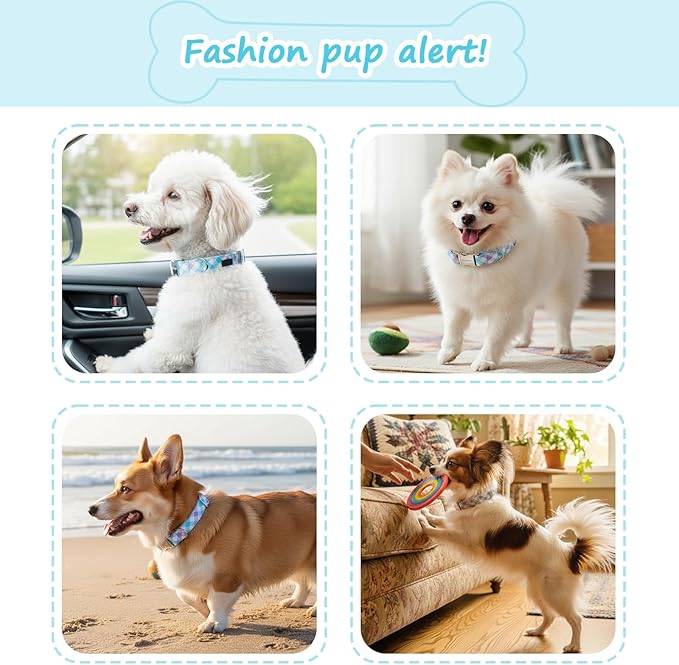 Cotton Collar for Dog，Soft Adjustable Dog Collars for Extral Small Dogs, Cute Dog Collar with Blue & White Plaid for Small Medium Large Dogs, Perfect for Girl or Boy Dog Collars-XS