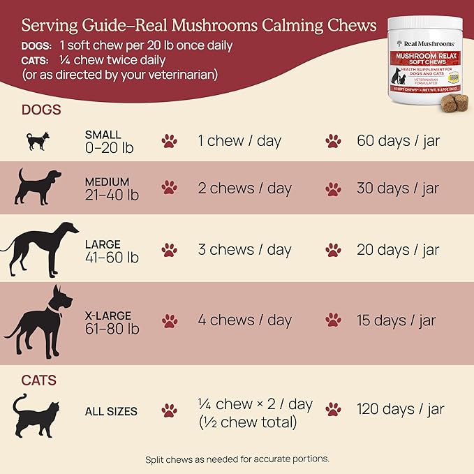 Calming Chews for Dogs & Cats – Soft Chews with Reishi & Lion’s Mane for Daily Composure – for All Breeds & Sizes – Calming Treats for Dogs: 1 Chew/20 lb Daily; Cats: ¼ Chew Twice Daily – 60 Count