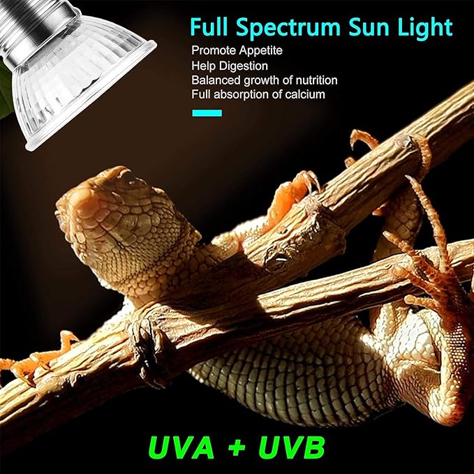 OMAYKEY 30W UVA + UVB Full Spectrum Sun Lamp Sunbathe Heat Lamp/Bulb/Light for Lizard Bearded Dragon Chameleon Snake Turtle Aquarium Reptiles & Amphibians, 6 Pack