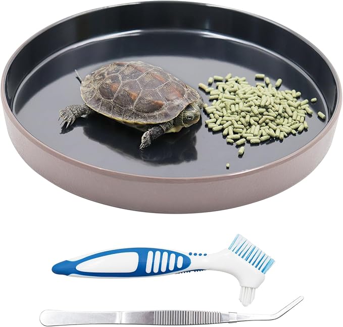 Reptile Feeder Kit, Food Water Bowl, Plastic Round Tortoise Feeding Dish, Amphibian Feeding Bowl, Tank Terrarium Accessories for Bearded Dragon Snake Hermit Crab Turtle Lizard Chameleon - 8 × 8 × 1"