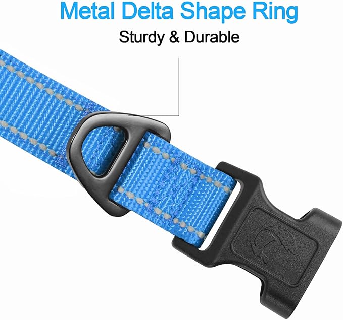 Joytale Reflective Dog Collar, Soft Neoprene Padded, Metal D-Ring, Nylon Pet Collar Adjustable for Extra Large Dogs, SkyBlue, XL