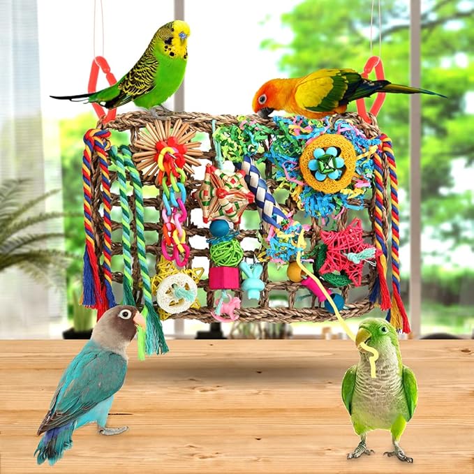 Foraging Toys for Parakeets Cockatiel Conures Lovebirds - Seagrass Wall with Various Bird Toys