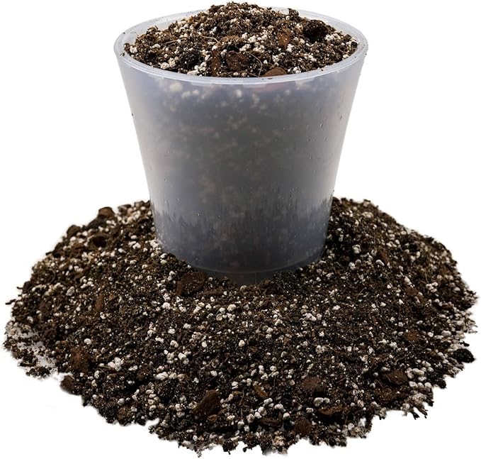 Gardenera Fiddle Leaf Fig House Plant Soil Premium All Purpose Blend - Peat Moss, New Zealand Bark, Coco Chips and Fibers, Perlite - 4 Quart Bag