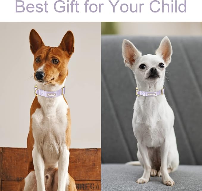 Nylon Dog Collar - Adjustable Lavender Soft Webbing Dog Collars for Small Medium Large Dogs Boy Girl Puppy Collar with Safety Metal Buckle S