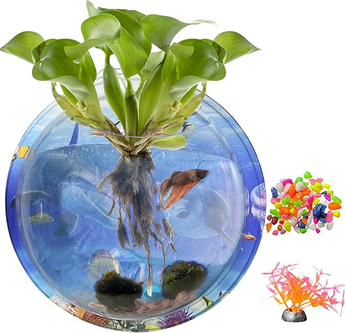 kathson Acrylic Wall Hanging Fish Bowl Wall Mounted Fish Tank Planter Fish Bubble Hanging Aquarium Hydroponic Plant Pot Betta Fish Tank Bowl for Home Decor Pot Decoration Planter (6.69 in)