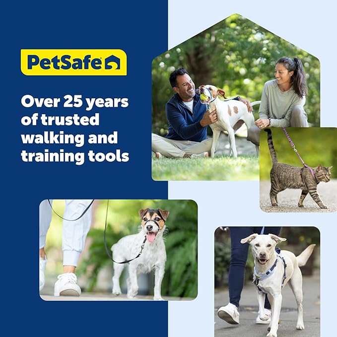 PetSafe Gentle Leader Headcollar No-Pull Dog Collar - Helps Improve Walks - Durable Nylon Construction - Padded Nose Loop - Adjustable Fit - Comfort Walking Halter - Petite, Black