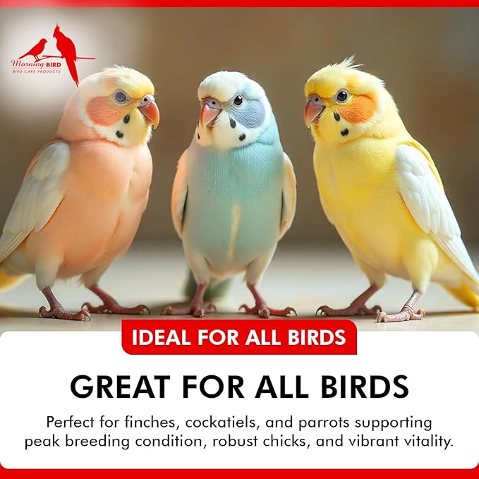 Morning Bird Breeders Blend 0.5 oz – Protein Supplement for Birds – Supports Breeding, Chick Growth, Muscle Development & Immune Support – Daily Vitamin Blend for Strong Bones & Overall Health