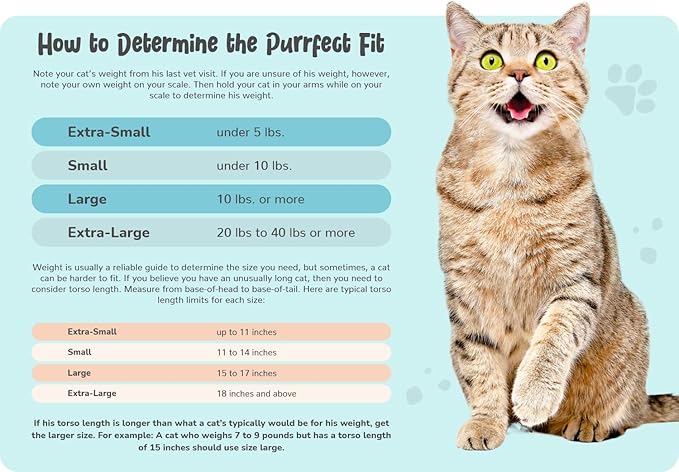 Cozy Comfort Carrier - X-Large Green Cat Carrier, Cat Holder for Cutting Nails, & Cat Carrier Pouch for Vet Visits, Medication Administration, Dental Care, & Travel