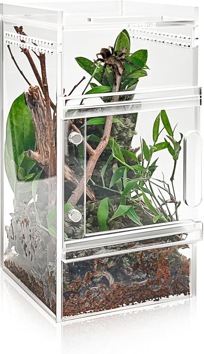 Jumping Spider Enclosure 3x3x6 Inch Acrylic Spider Cage Insect Terrarium Bug Enclosure Tarantula Enclosure Reptile Terrarium for Snail, Mantis, Lizard, and Small Reptiles