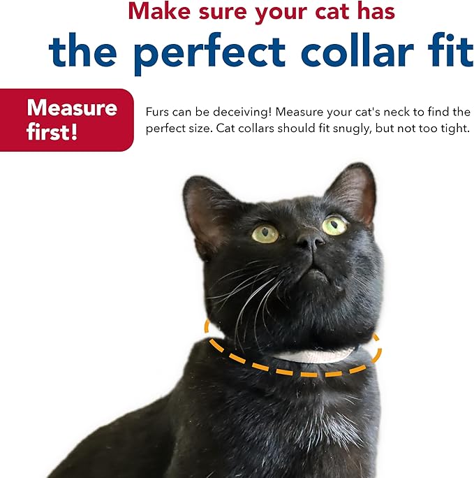 Coastal Pet New Earth Soy Adjustable Breakaway Cat Collar - Eco-Friendly, Odor-Resistant and Adjustable Cat Collar, Rose, 3/8" x 08"-12"
