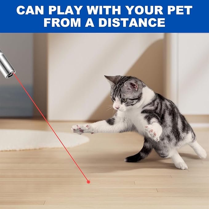 2pcs Laser Pointer, Cat Toys for Indoor Cats, Kitten Dog Laser Pen Toy, Red Dot LED Light Pointer Interactive Toys for Indoor Cats Dogs, USB Charging, 5 Switchable Patterns