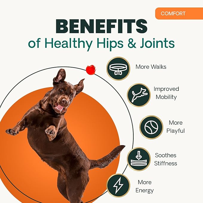 VetriScience Ultimate Strength Healthy Chews– Dog Glycoflex Plus Hip and Joint Supplement Glucosamine, MSM for Dogs & Green Lipped Mussel for Dogs, Duck, 60Count - New Look