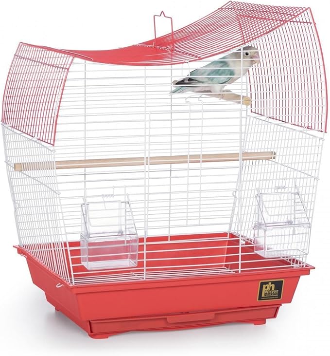 Prevue Pet Products South Beach Wave Top Bird Cage, Coral (Model: SP50110)
