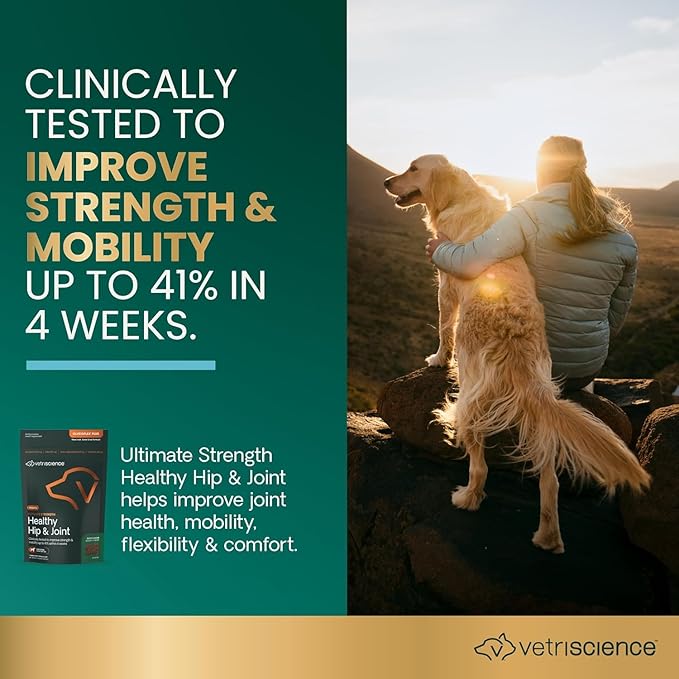 VetriScience GlycoFlex Ultimate Strength Healthy Chews– Dog Hip and Joint Supplement with Glucosamine, MSM for Dogs & Green Lipped Mussel for Dogs, Peanut Butter, 60Count - New Look