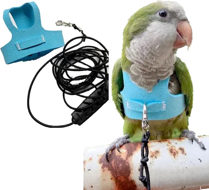 Bird Flight Harness Vest, Parrot Flight Suit with Leash for Parakeets Cockatiels Conures Budgies, Bird Flying Clothes with Rope and Handle for Outdoor Activities Training (S, Blue)