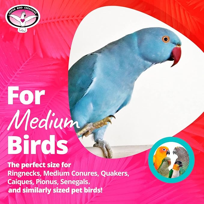 Super Bird Creations SB466 Mini Triangle Teaser Toy for Parrots, Ringnecks, Conures, Quakers, Caiques - Enrichment & Boredom Relief for Parrots - Safe and Durable - Medium Bird Size - 16" x 3" x 2"